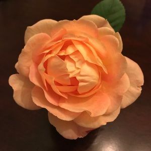 Meet your Posher, R.